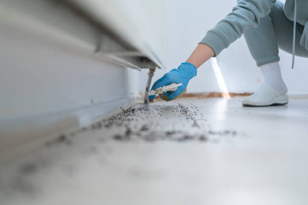 Pest Control Cost in Bradford, OH